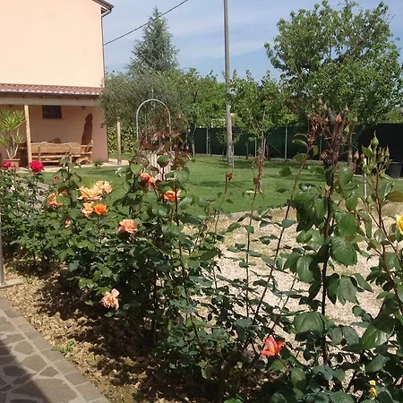 La Casa Del Ciliegio Πανσιόν Faenza