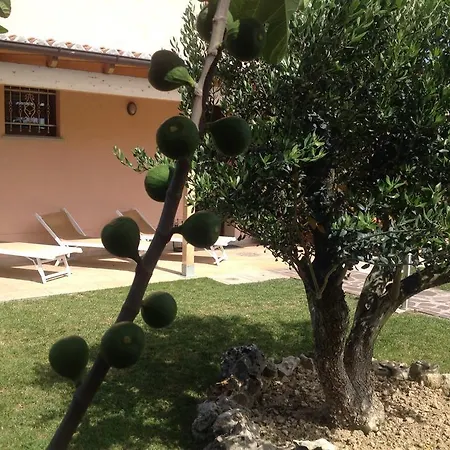 La Casa Del Ciliegio Faenza