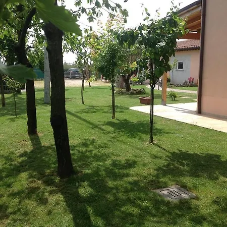 La Casa Del Ciliegio *