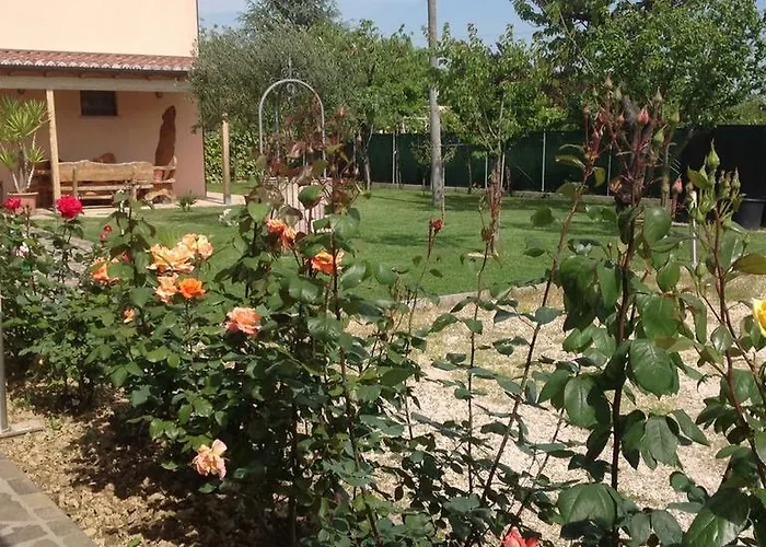 La Casa Del Ciliegio Гостевой дом Фаэнца