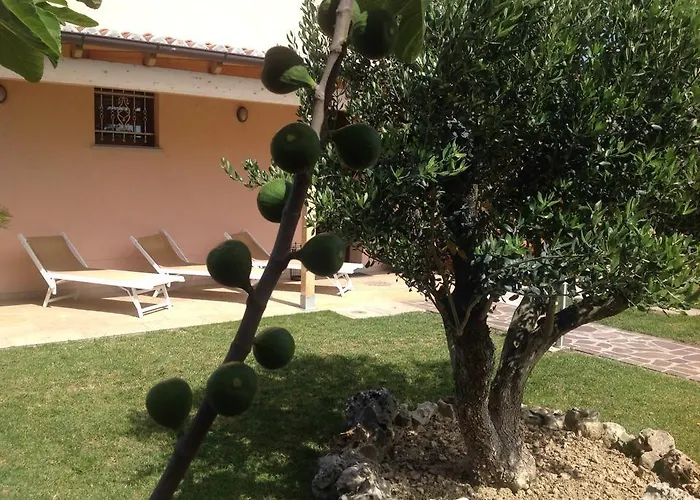 La Casa Del Ciliegio Faenza